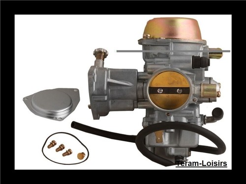 Carburateur pour yamaha rhino - pour,